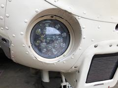 Whelen Parmetheus - Medium.jpg